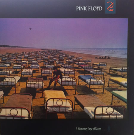 A Momentary Lapse Of Reason