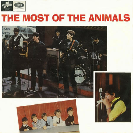 The Most Of The Animals