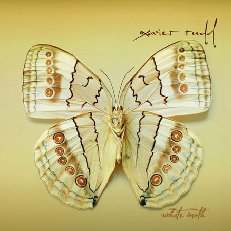 White Moth (Vinyl Re-release)