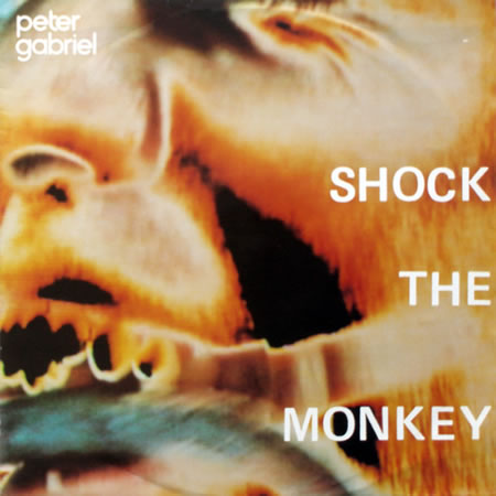 Shock The Monkey