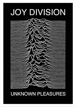 Unknown Pleasures  In Store Poster 1979