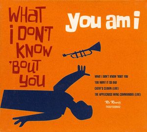 You Am I - What I Don't Know 'Bout You