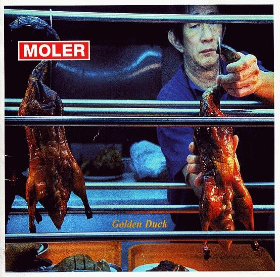 Moler - Golden Duck